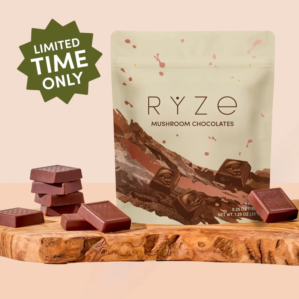 Mushroom Chocolates Rye (15 pieces) - Fresh Choice