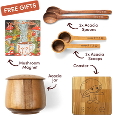 Free Gift Bundle